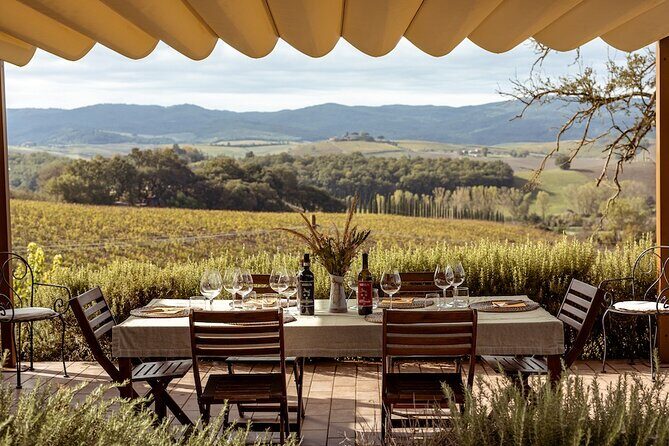 A Brunello Cooking Class with Vineyards View Winery - Cooking on the terrace: what you’ll actually be doing