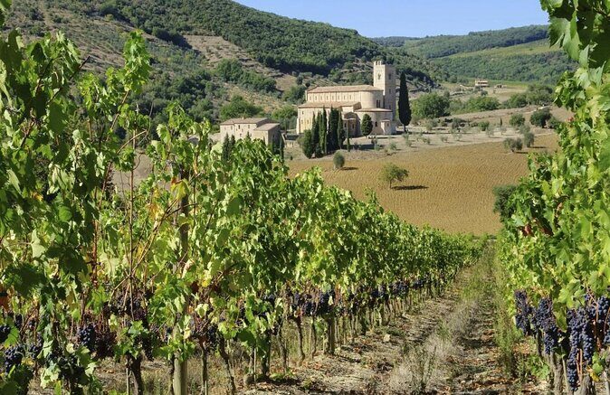 Brunello di Montalcino Wine Tour of 2 Wineries with Pairing Lunch - Key Highlights At A Glance
