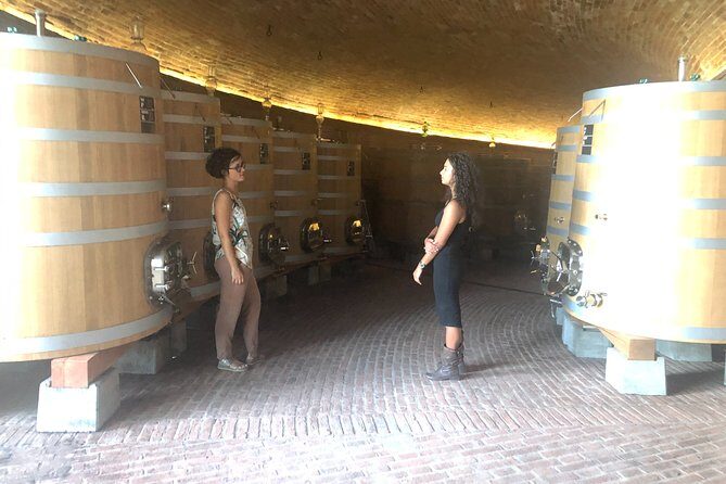 Brunello di Montalcino Wine Tour of 2 Wineries with Pairing Lunch - Siena Pickup, Wi-Fi Rides, and How to Use the Drive Time
