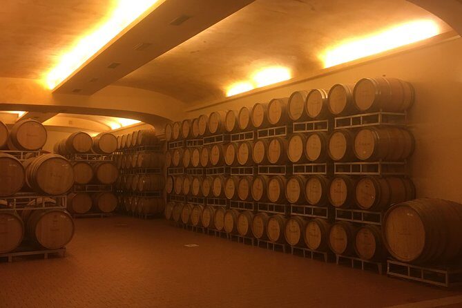 Chianti Classico E-Bike Tour - The Wine Tasting and Light Lunch: What’s Included and How to Make It Better