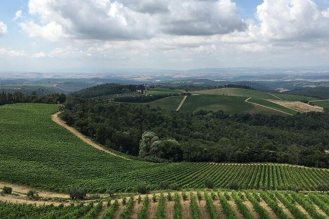 Chianti Classico E-Bike Tour - Who This Tour Suits Best (and Who Might Want Another Option)