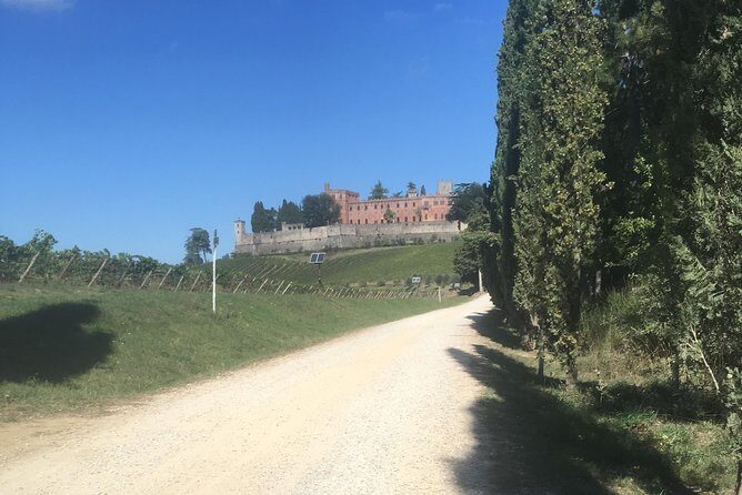 Chianti Classico E-Bike Tour - Castello di Brolio: Ricasoli Roots and Castle Views Without the Long Detour