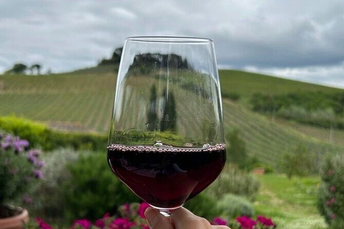 Chianti Classico wine Tour and Tasting - Vineyard walk in Chianti Classico: what those views actually teach you