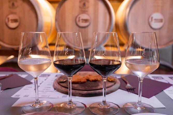 Chianti Grand Tasting: Signature Wines, Oils & Balsamics in the - The lineup of signature wines: Chianti focus with a few curveballs