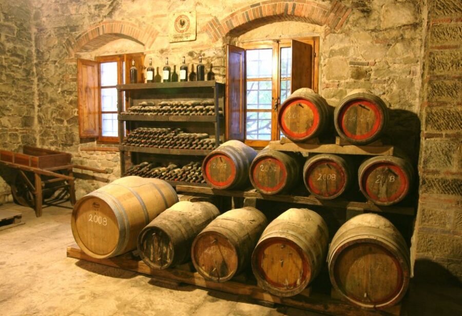Chianti: Wine and Olive Oil Tasting with Cellar Tour - Who this tour suits best (and who should plan differently)