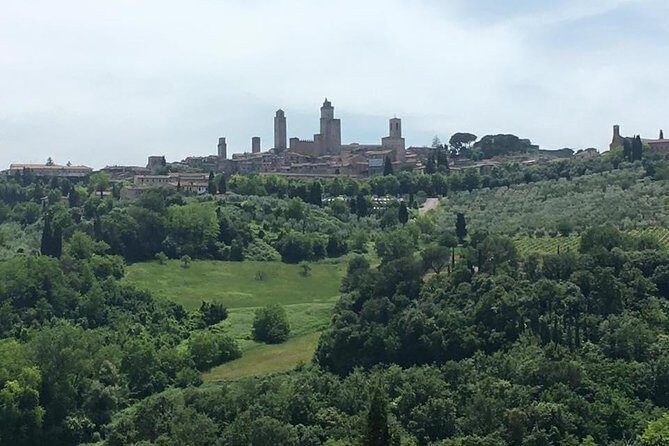 Chianti Wines and San Gimignano Tour from Florence (1 Winery) - Price and value: what you’re really paying for