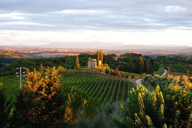 "CLASSIC" Wine Tasting and Typical Tuscan Products - The pairing: bruschetta with EVO oil plus a Tuscan cold-cuts platter
