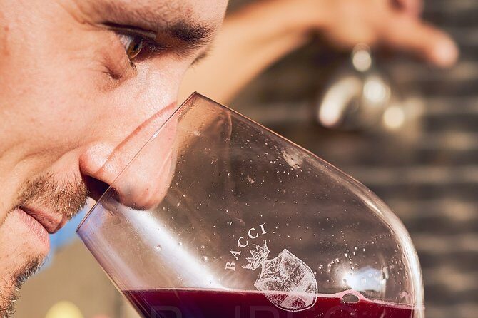 Complete tasting of Castello di Bossi - Price and value: what you’re paying for in a private tasting