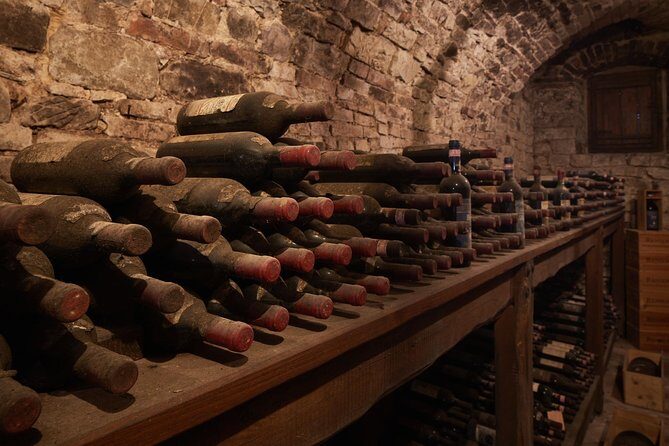Complete tasting of Castello di Bossi - Planning your afternoon: timing, hours, and how to pair it in Siena
