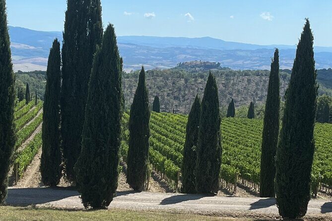 Discover Brunello Wines with DiWine Experience - Key Things I’d Bet On Before You Go