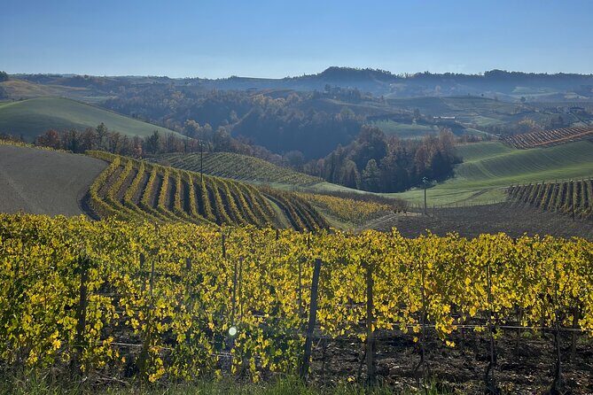 Discover Brunello Wines with DiWine Experience - Three Wineries, Three Feelings: What Makes This Tour Work