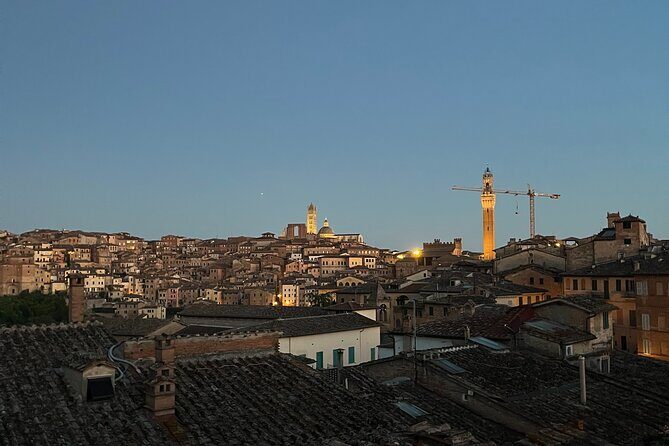 Discover Brunello Wines with DiWine Experience - Comfortable Transport and a Max of 8: Smooth Day, Less Waiting