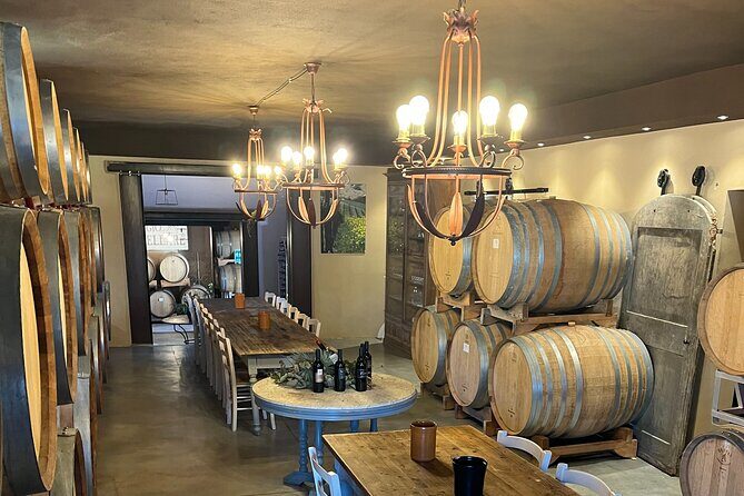 Discover Brunello Wines with DiWine Experience - Brunello Focus Without Wine-Student Stress
