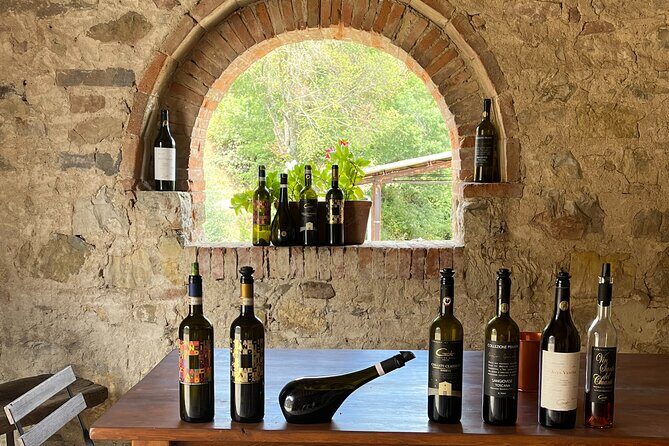 Discover Chianti Classico Wines DiWine Experience - Why this Chianti Classico tour from Siena feels different