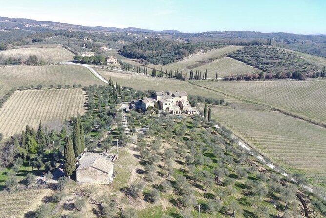 Discover Chianti Classico Wines DiWine Experience - Who should book this DiWine Experience in Chianti Classico?