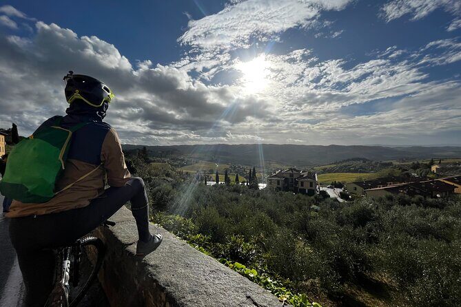 E-Bike Tour: Explore the Chianti, its Enogastronomy and Castles - A 7-hour Chianti loop from Siena on pedal-assist bikes