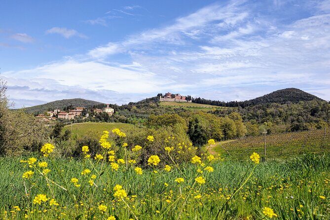 E-Bike Tour: Explore the Chianti, its Enogastronomy and Castles - Monti in Chianti café break and a pass by Cacchiano Castle