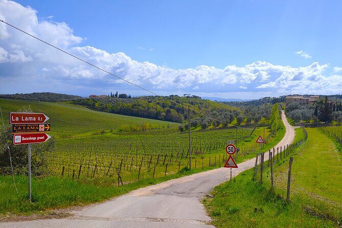 E-Bike Tour: Explore the Chianti, its Enogastronomy and Castles - Castello di Brolio guided tour: wars, the Ricasoli family, and the wine cellar