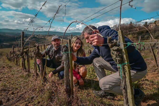 Exclusive Wine Tour and Tasting Experience in Siena - Key things to know before you go