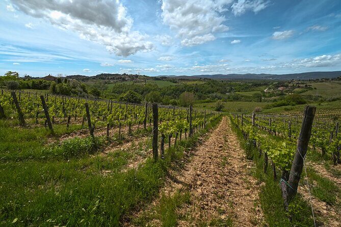 Exclusive Wine Tour and Tasting Experience in Siena - Who Should Book This Tour in Siena (and Who Should Skip It)