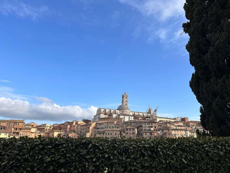 From Florence: San Gimignano, Siena, and Chianti Wine Tour - Starting point in Florence: meet near the Baptistery