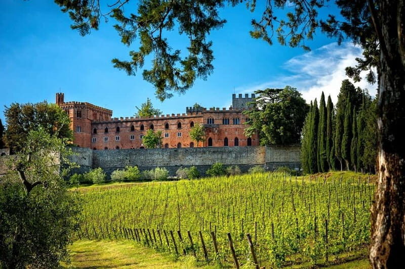 From Siena/Badesse: Vespa & Chianti Tour in the Tuscan Hills - Riding Through the Chianti Hills: Vineyards, Turns, and Timing That Works