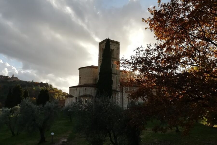 From Siena: Brunello di Montalcino Guided Wine Tour W/ Lunch - From Siena to Brunello Country: Vineyard Walk and Cellar Intro