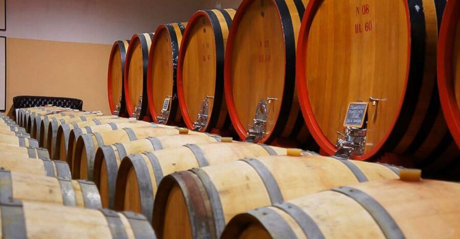 From Siena: Brunello di Montalcino Guided Wine Tour W/ Lunch - Lunch at a Family-Run Winery: When the Day Tastes Like Real Tuscany