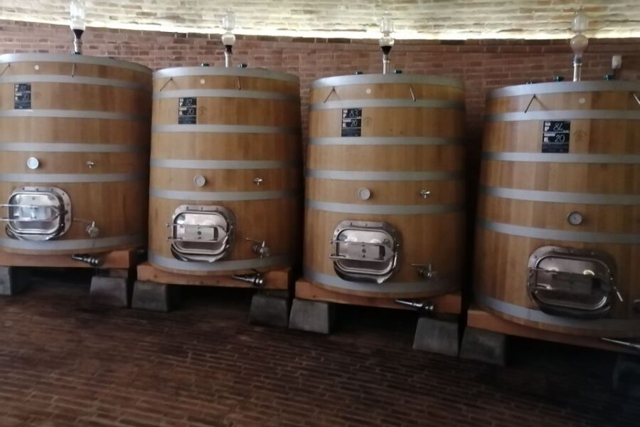 From Siena: Brunello di Montalcino Guided Wine Tour W/ Lunch - The Third Winery Finale: Oak Aging, Cellars, and a Last Taste