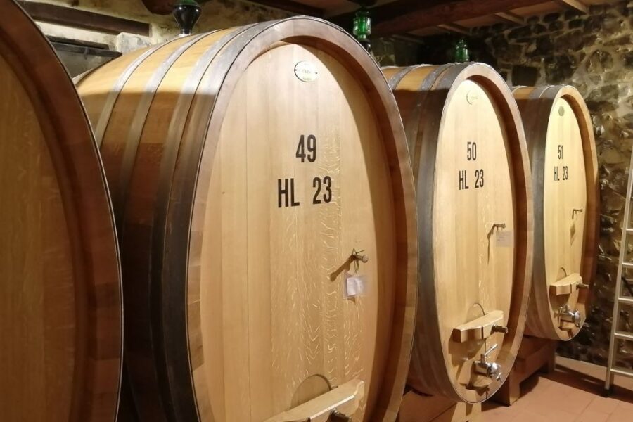 From Siena: Brunello di Montalcino Guided Wine Tour W/ Lunch - Guides and Small-Group Energy: What Up to 8 People Really Changes