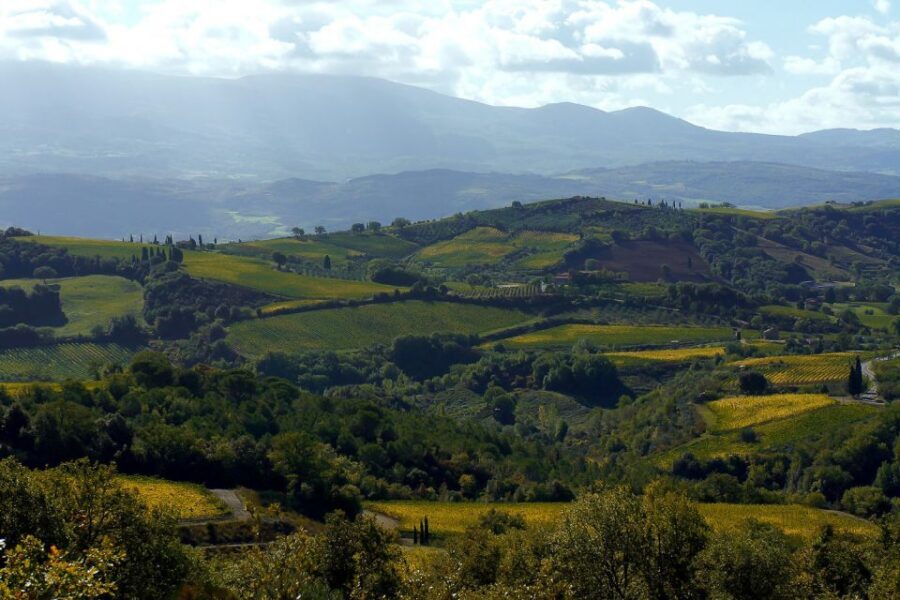 From Siena: Brunello di Montalcino Guided Wine Tour W/ Lunch - Transportation and Timing: Minivan Comfort and a Real Full Day