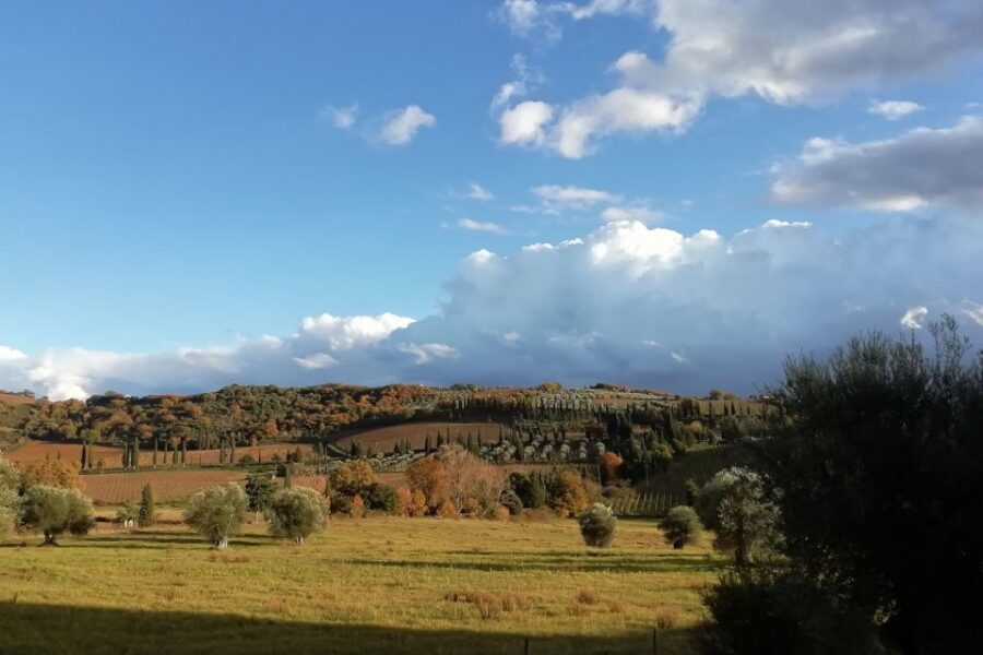 From Siena: Brunello di Montalcino Guided Wine Tour W/ Lunch - Price and Value: Is $203.91 Worth It?