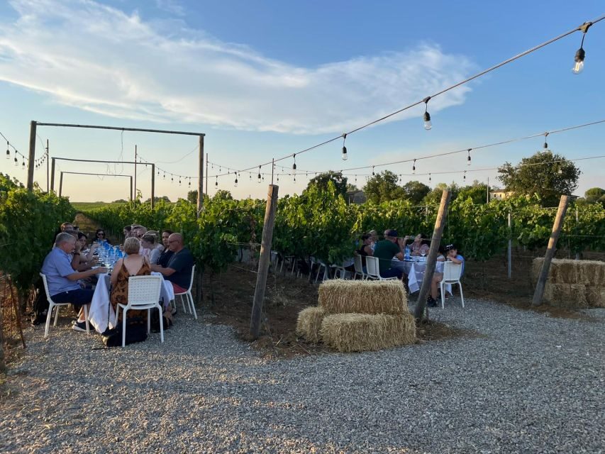 From Siena: Chianti and Castles Tour with Wine Tastings - Why This 5-Hour Chianti Tour from Siena Works So Well