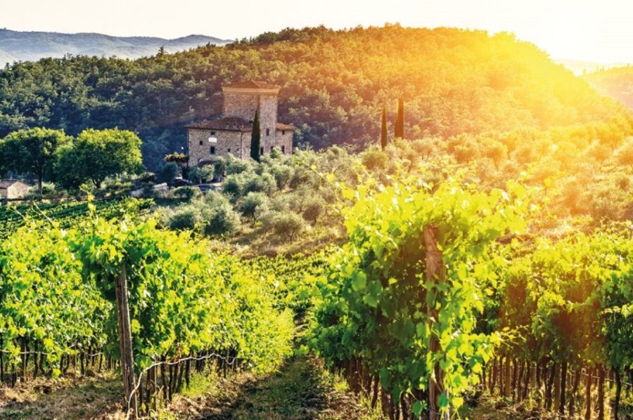 From Siena: Chianti and Castles Tour with Wine Tastings - Winery Stop #1: Taste Chianti the Way It’s Meant to Taste