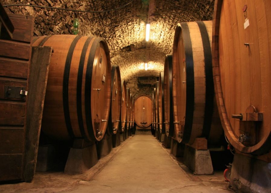From Siena: Chianti and Castles Tour with Wine Tastings - Winery Stop #2 in Chianti Classico: Second Tasting, Different Feel