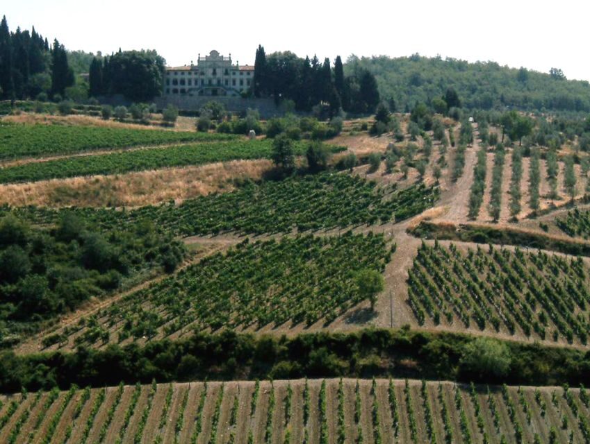 From Siena: Chianti and Castles Tour with Wine Tastings - Castellina in Chianti: Walled-Town Energy Without the Full Hike