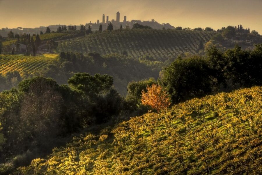 From Siena: Chianti and San Gimignano Sunset Tour - San Gimignano at sunset: towers, lanes, and an easier pace