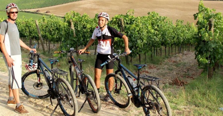 From Siena: Chianti Countryside E-Bike Tour w/ Lunch & Wine - Key things to know before you go