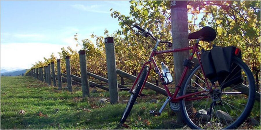 From Siena: Chianti Countryside E-Bike Tour w/ Lunch & Wine - Why this Chianti e-bike day is a smart alternative