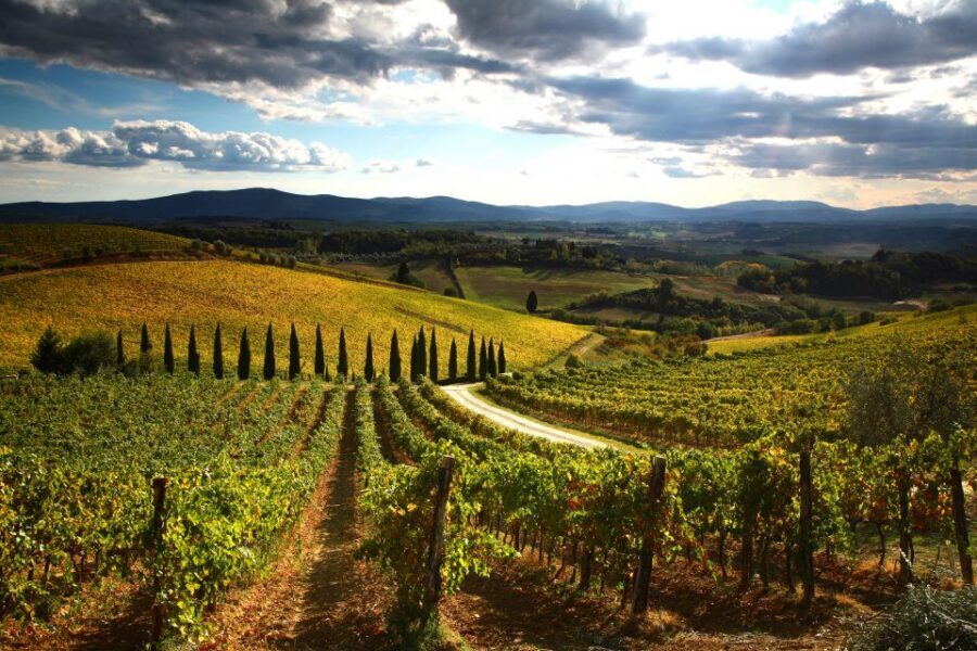 From Siena: Chianti Countryside E-Bike Tour w/ Lunch & Wine - Lunch and wine at a local farm: olive oil first, then the good stuff