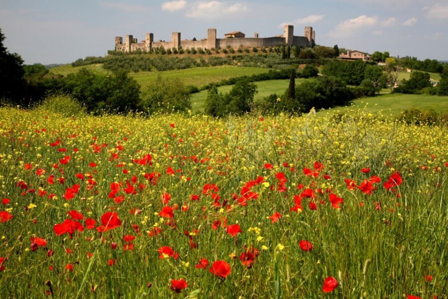 From Siena: Chianti Countryside E-Bike Tour w/ Lunch & Wine - Getting started at Siena Train Station (and why it’s easy)