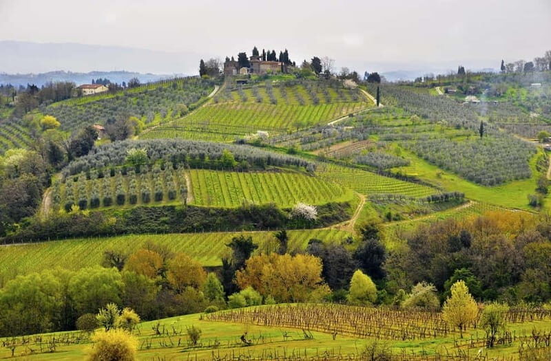 From Siena/Chianti: Dinner & Drinks in the Chianti Vineyards - Key highlights worth planning around