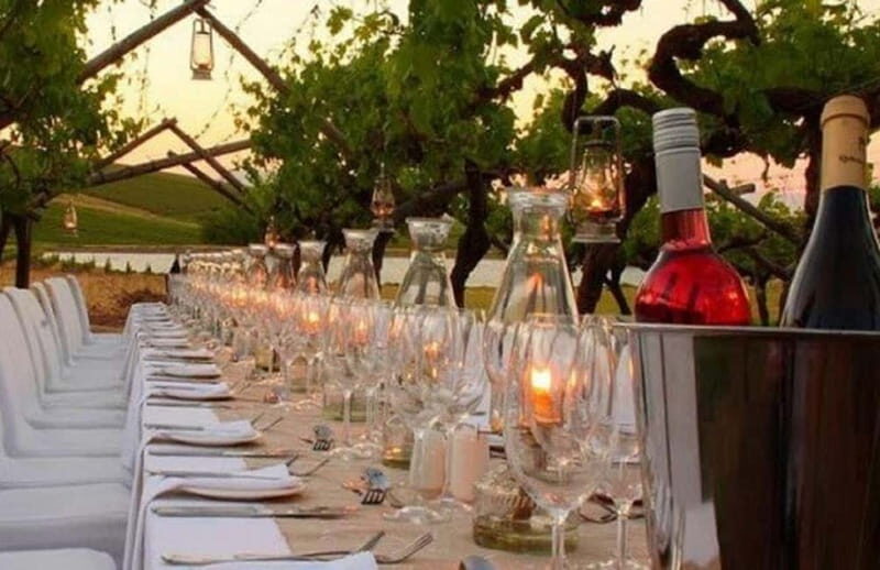 From Siena/Chianti: Dinner & Drinks in the Chianti Vineyards - Should you book the Siena/Chianti vineyard dinner?