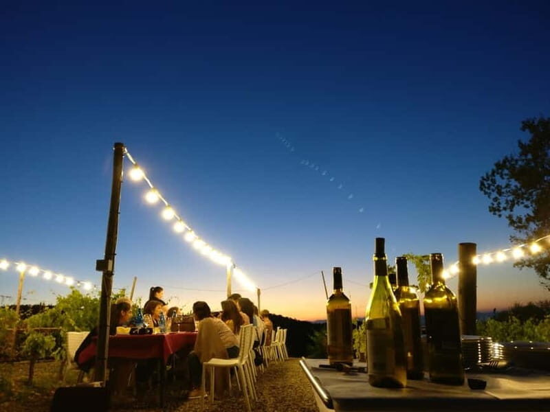 From Siena/Chianti: Dinner & Drinks in the Chianti Vineyards - Siena pickup to Chianti vineyards: the short ride that sets the mood
