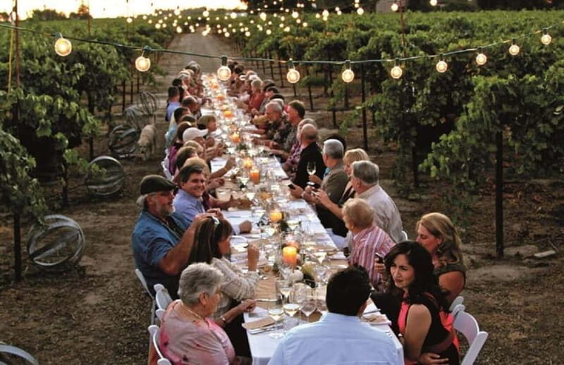 From Siena/Chianti: Dinner & Drinks in the Chianti Vineyards - Wine tastings on the estate: how to enjoy it even if you’re not a wine nerd