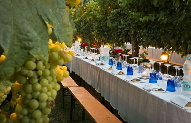 From Siena/Chianti: Dinner & Drinks in the Chianti Vineyards - The four-course candle-lit dinner: Tuscan soups, roast meats, and real comfort food