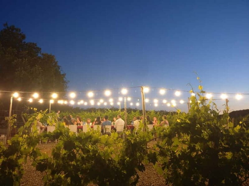 From Siena/Chianti: Dinner & Drinks in the Chianti Vineyards - How fast is this? Managing time, stairs, and comfort