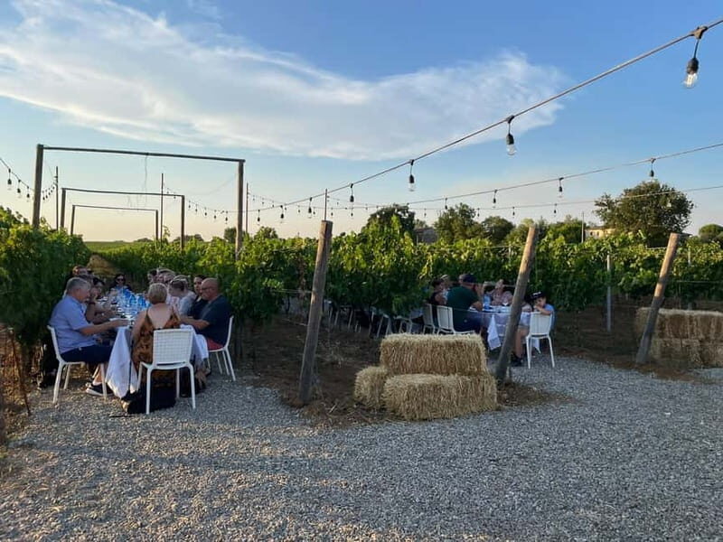 From Siena/Chianti: Dinner & Drinks in the Chianti Vineyards - Price and value in Tuscany: what you’re really paying for