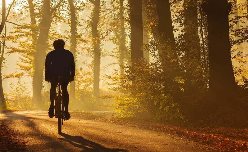 From Siena: Chianti Electric Bike Tour - Key things that make this tour worth your time