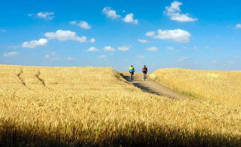 From Siena: Chianti Electric Bike Tour - Siena to Chianti by electric bike: why this format works